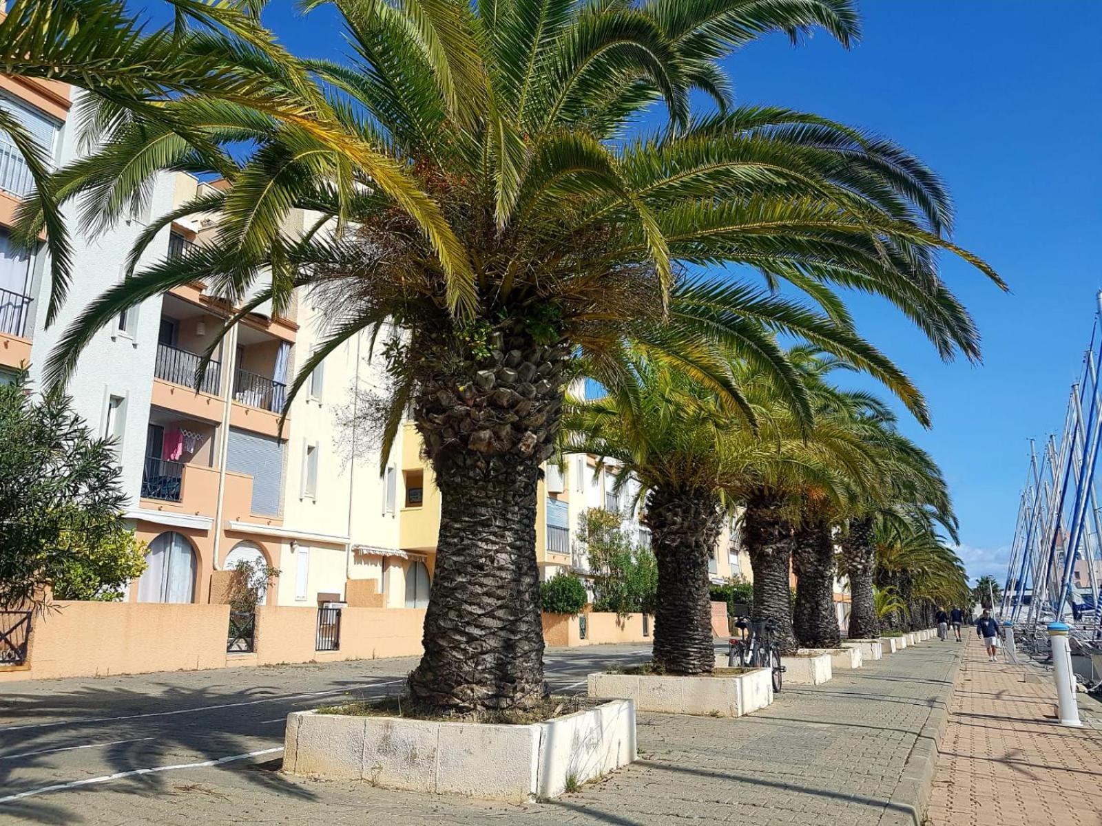 Ferienwohnung T2 Sur Le Port Avec Parking Gruissan Exterior foto